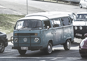 First 30 Days with Quail