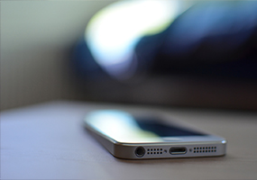 Apartment Aquaponics